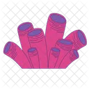 Sea Coral Wildlife Coral Reef Icon