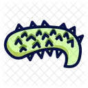 Sea Cucumber Echinoderm Marine Animal Icon