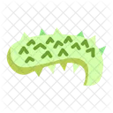 Sea Cucumber Echinoderm Marine Animal Icon