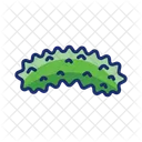 Sea Cucumber  Icon