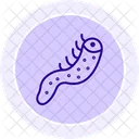 Sea Cucumber Hagfish Ocean Icon