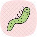 Sea Cucumber Sea Cucumber Icon