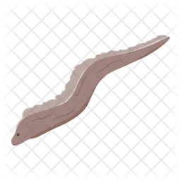 Sea eel  Icon