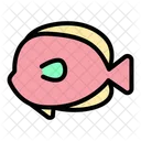 Sea Fish Fish Sea Icon