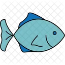 Sea Fish Saltwater Fish Ocean Species Icon