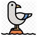 Sea Gull  Icon