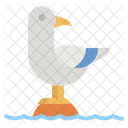 Sea Gull  Icon