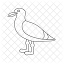 Sea gull  Icon