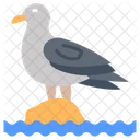 Sea Gull Sea Mew Water Bird Icon