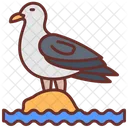 Sea Gull Sea Mew Water Bird Icon