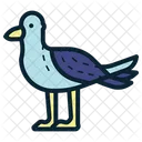 Sea Gulls  Icon