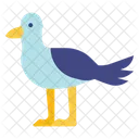 Sea Gulls  Icon
