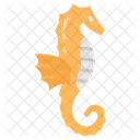 Sea Horse Hippocampus Small Fish Icon