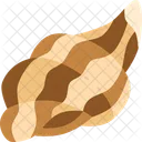 Sea Shell Beach Icon