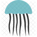 Sea Marine Jelly Aquatic Creature Icon