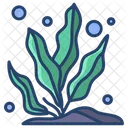 바다 식물  아이콘