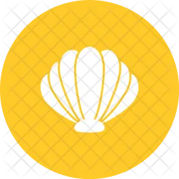 Sea shell  Icon