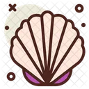 Sea Shell Shell Decoration Icon