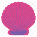 Sea Shells Shell Seashell Icon