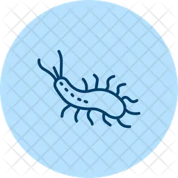 Sea slug  Icon