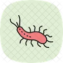 바다 민달팽이 바다 민달팽이 아이콘