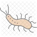 Sea Slug Sea Slug Icon