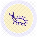 Sea Slug Sea Slug Icon