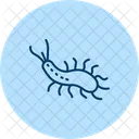 Sea Slug Sea Slug Icon
