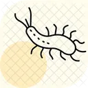 Sea Slug Sea Slug Icon