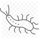 Sea Slug Sea Slug Icon