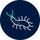 Sea Slug Sea Slug Icon