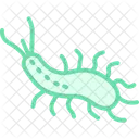 Sea Slug Vsea Slug Icon