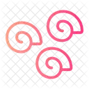 Sea Snail Land Snail Icon