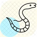 Sea Snake Sea Snake Icon