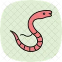 Sea Snake Sea Snake Icon