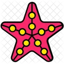 Sea Star  Icon