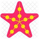 Summer Sea Star Fish Icon