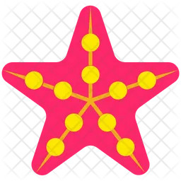 Sea Star  Icon