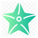Sea Star Starfish Star Icon