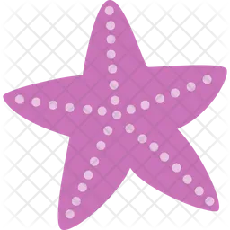 Sea star  Icon