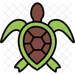 Sea turtle  Icon