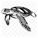 Sea Turtle Tortoise Turtle Icon