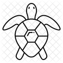 Sea Turtle Icon