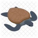 바다거북 거북이 바다생물 아이콘