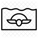 Sea Turtle Icon