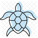 Sea Turtle Icon