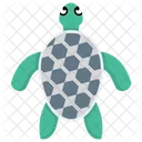 Turtle Tortoise Sea Turtle Icon