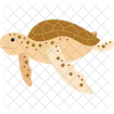 Sea Turtle Aquatic Animal Icon