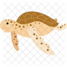 Sea turtle  Icon