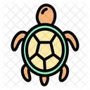 Sea Turtle Tortoise Turtle Icon